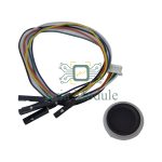 finger print ZW111 set A